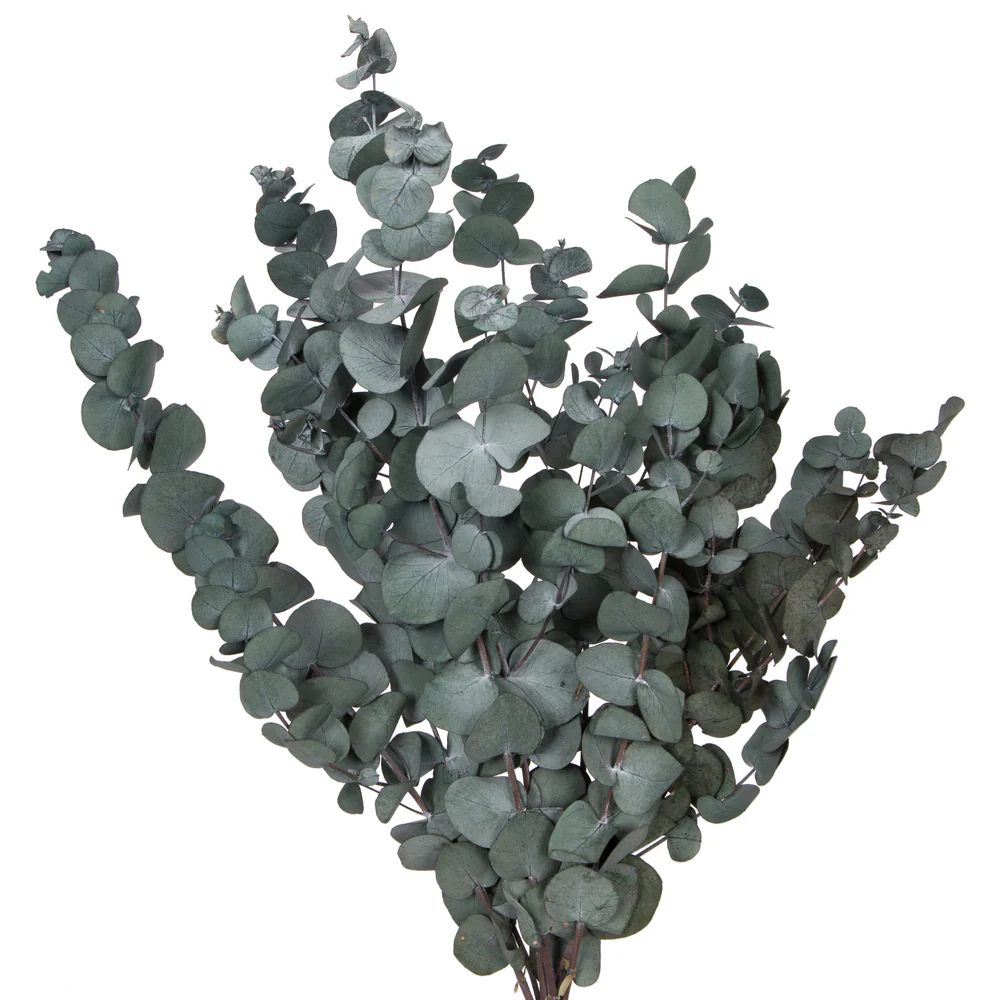 Vickerman Natural Botanicals 18-20