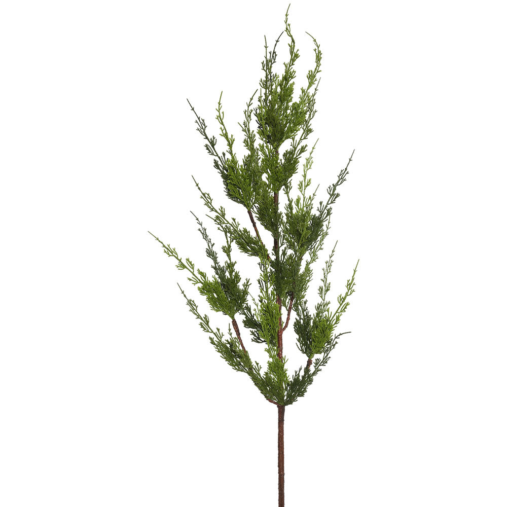 Vickerman 44
