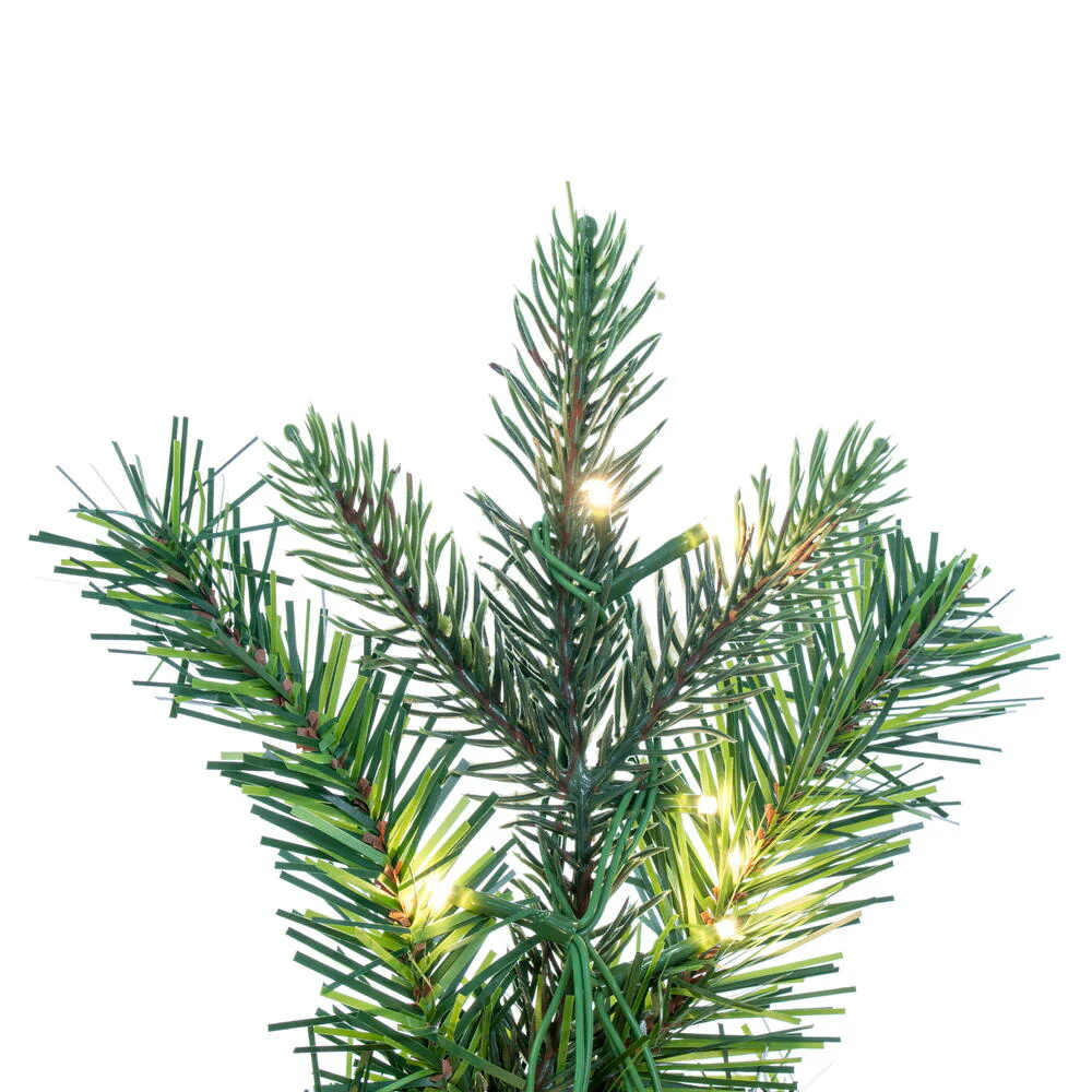 Vickerman 24