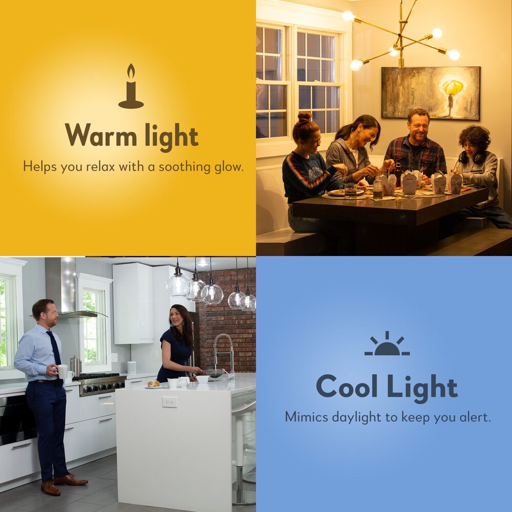 Bulbrite Pack of (8) 7 Watt Dimmable CLEAR Filament G25 Medium (E26) LED Bulb - 800 Lumens, 4000K, and 80 CRI - Cheap-Us