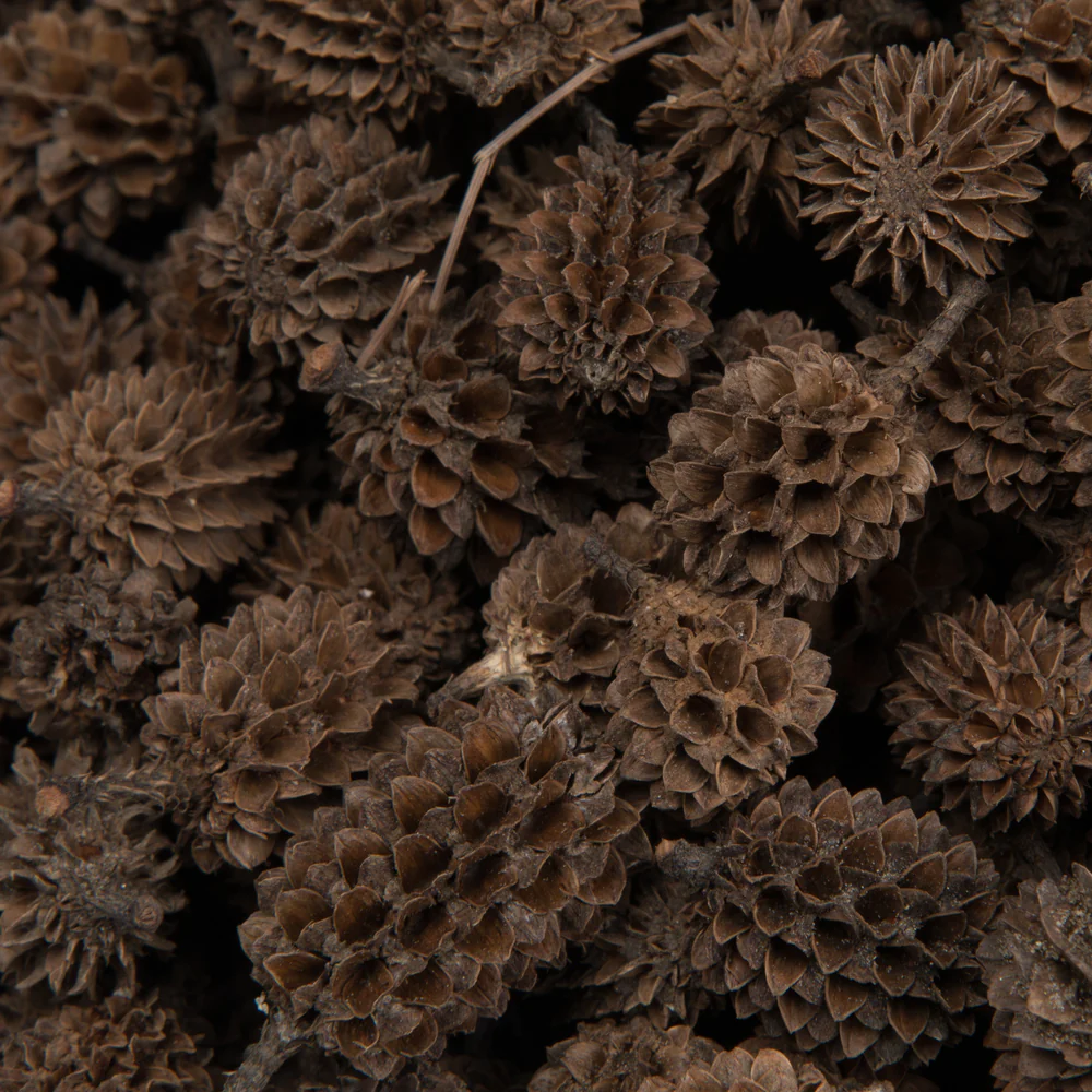 Vickerman Natural Botanicals 0.6