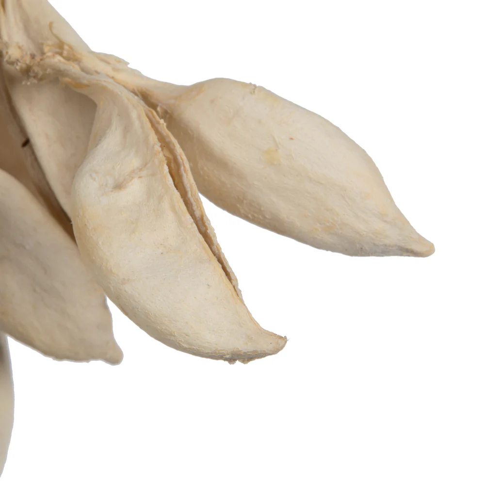 Vickerman Natural Botanicals 3