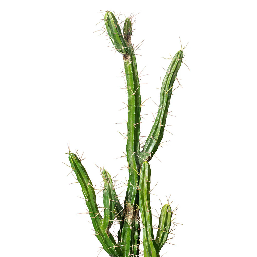 Vickerman 46