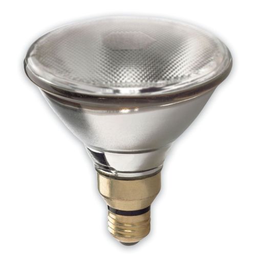 GE Lighting 48037 150-Watt 1700-Lumen Outdoor PAR38 Incandescent Light Bulb, Clear - Cheap-Us