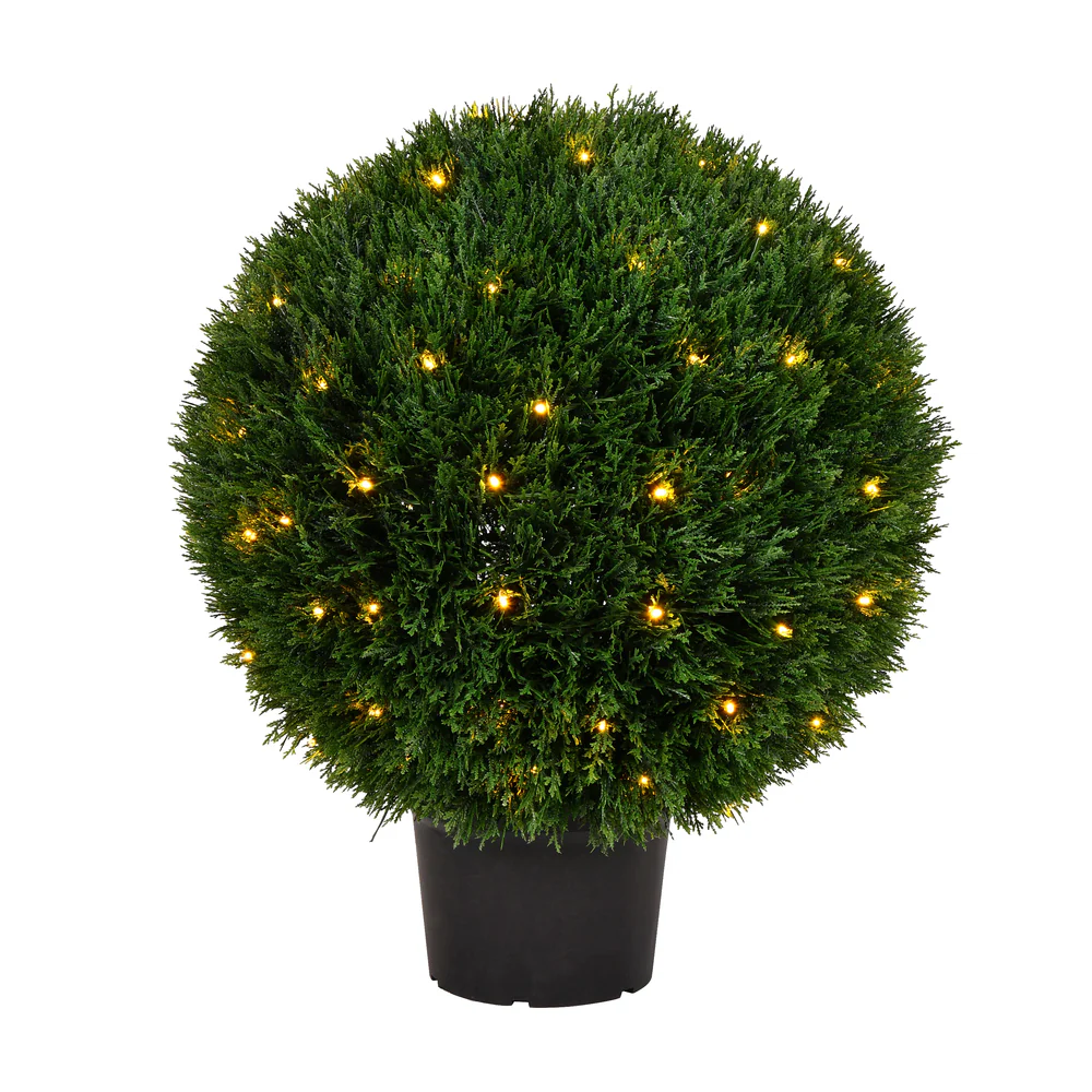 Vickerman 24