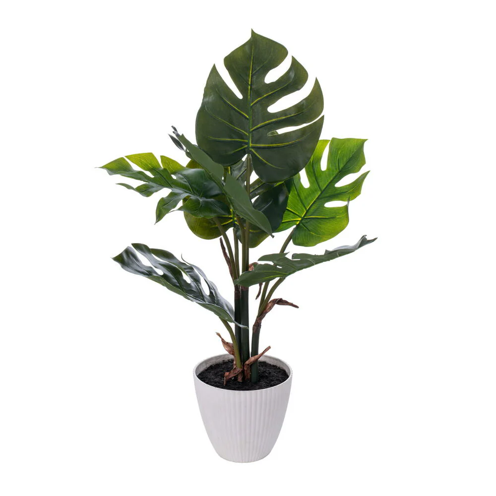 Vickerman 18