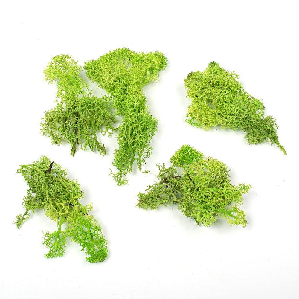 Vickerman Natural Botanicals 9 lb. Apple Green Reindeer Moss. This is a natural and preserved product. - Cheap-Us