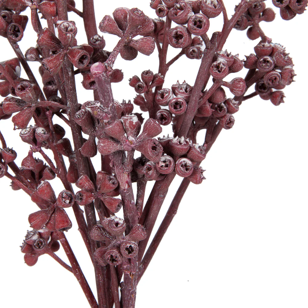Vickerman Natural Botanicals 13