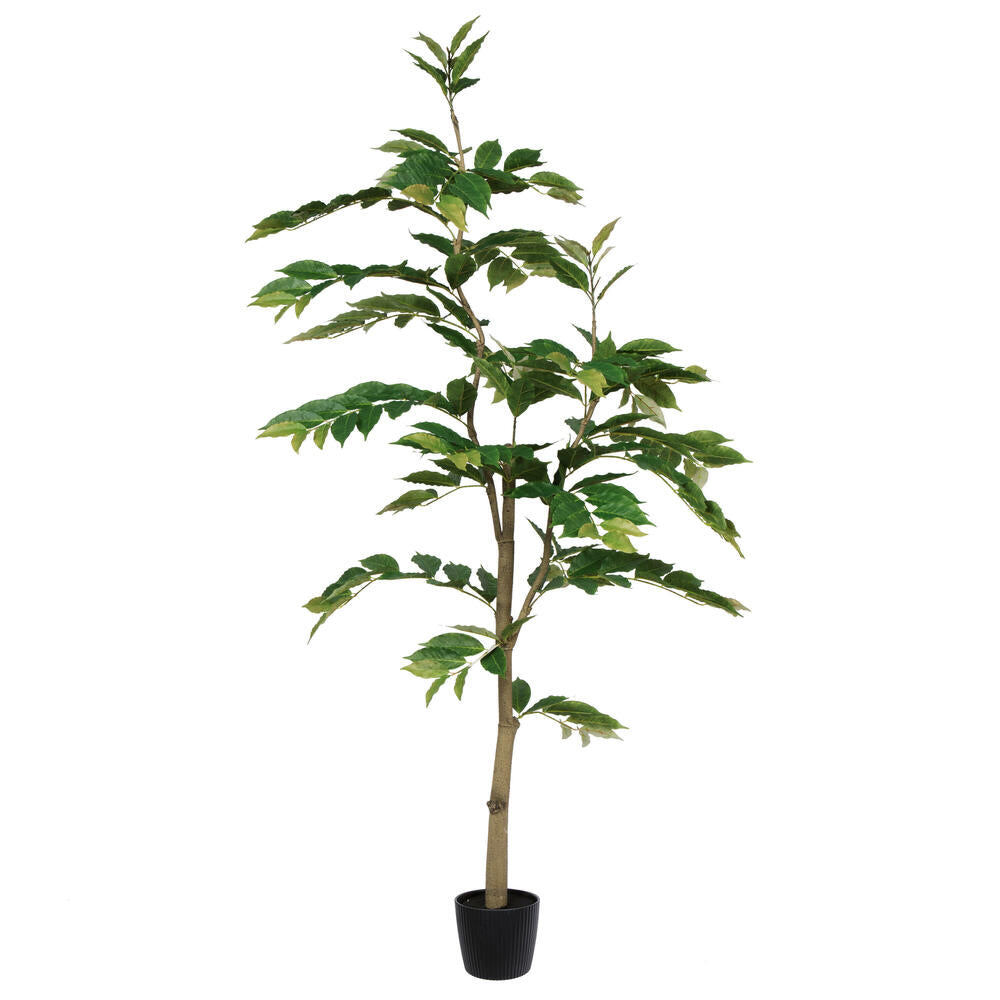 Vickerman 6' Potted Artificial Green Nandina Tree. - Cheap-Us
