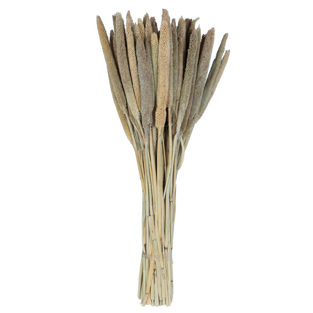 Vickerman Natural Botanicals 24