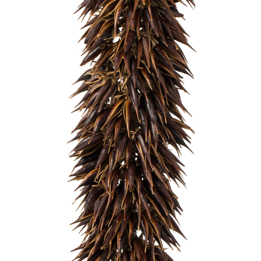 Vickerman 42-46