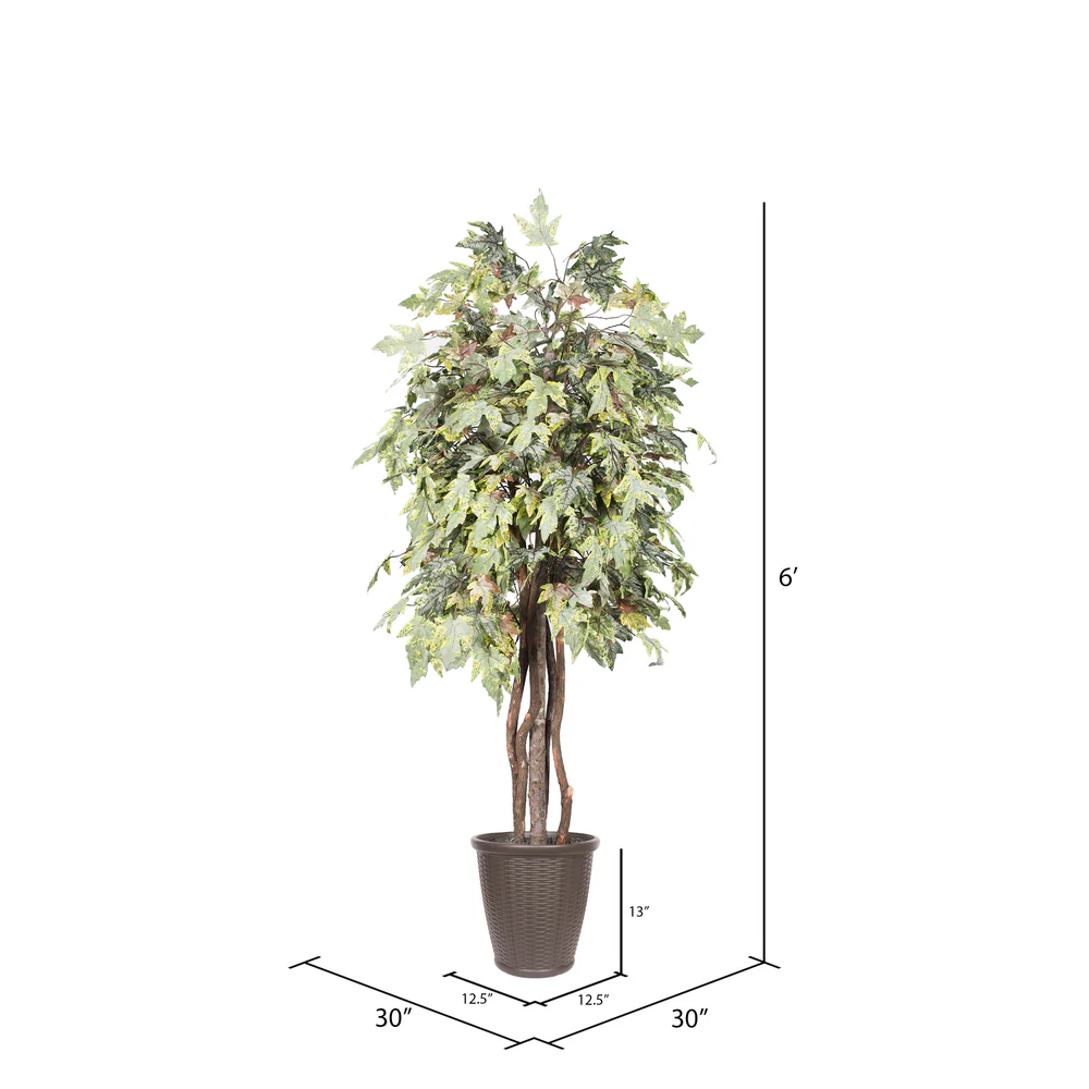Vickerman 6' Artificial Frosted Maple Executive Tree Brown Round Plastic Container. - Cheap-Us
