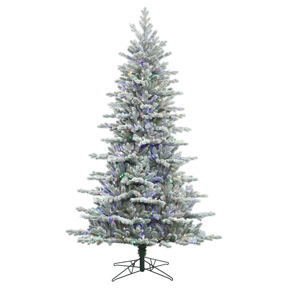 Vickerman 7.5' Frosted Eastern Fraser Fir Artificial Christmas Tree Multi-colored Dura-Lit LED lights - Cheap-Us