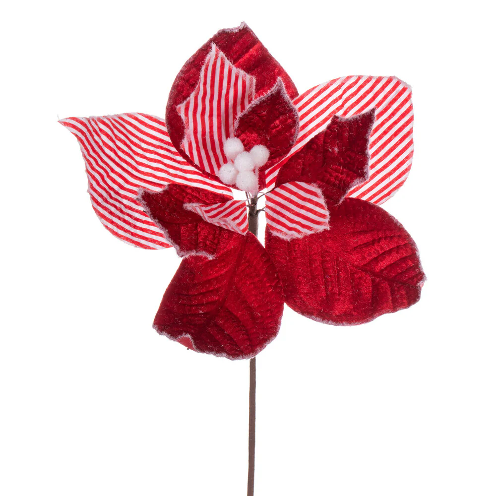 Vickerman 11