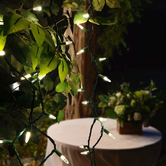 50-LITE RECTIFIED M5 LED LIGHT SET; WARM WHITE BULBS; GREEN WIRE, Approx. 25' 8
