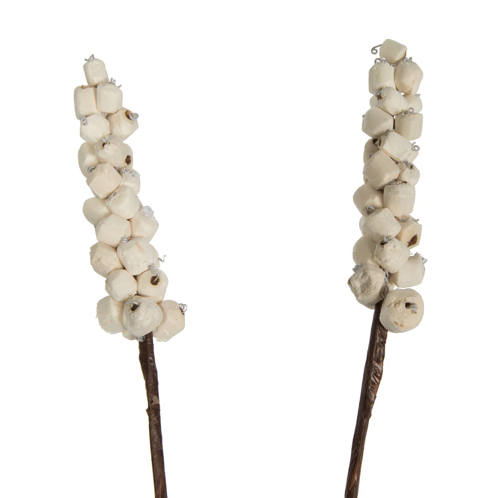 Vickerman Natural Botanicals 24