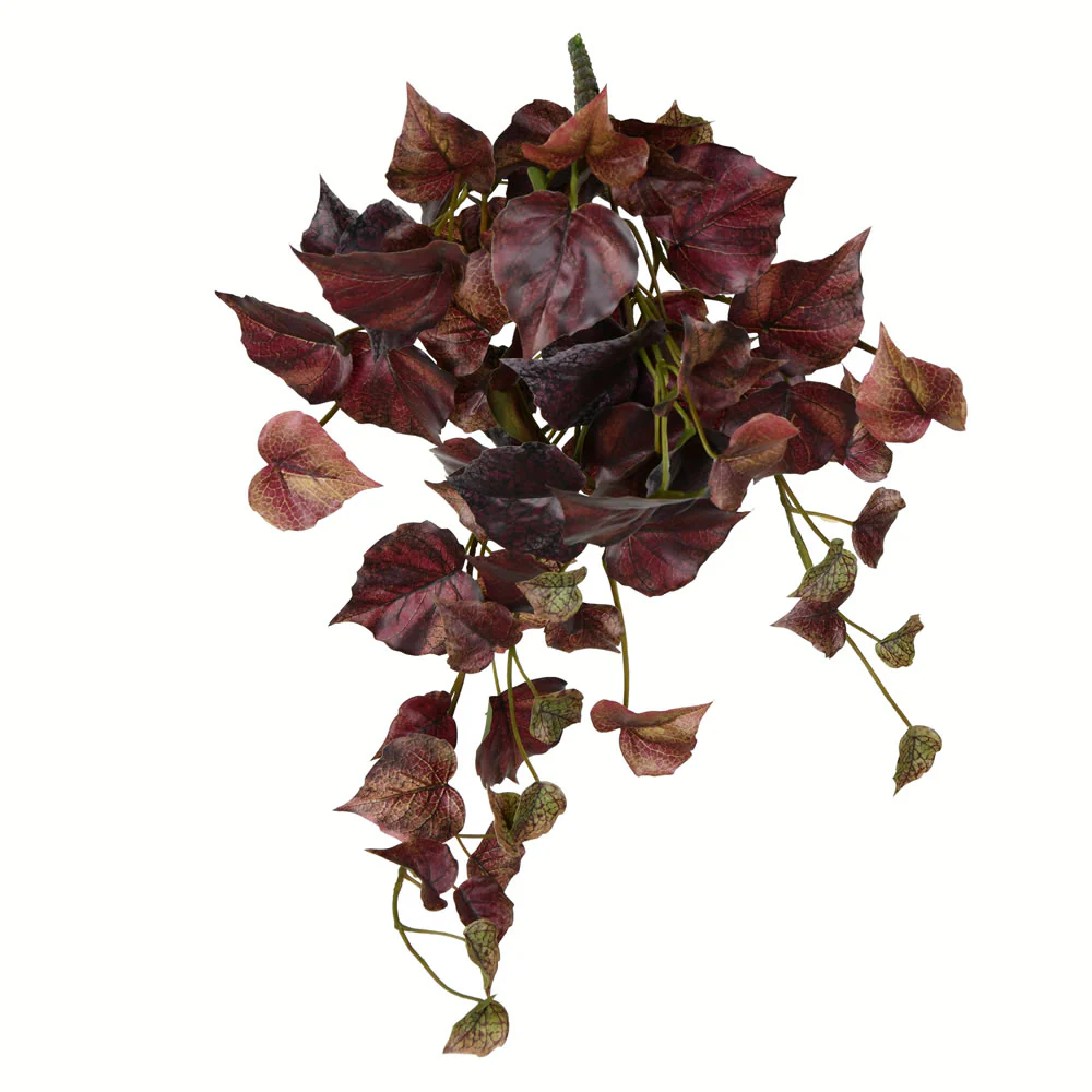 Vickerman 18