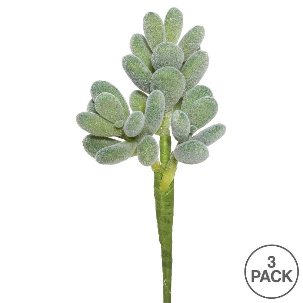 Vickerman 7