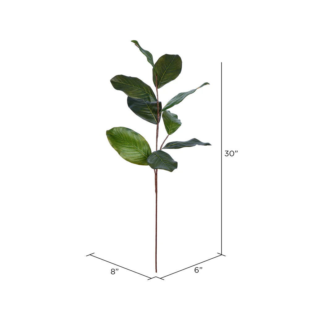Vickerman 30