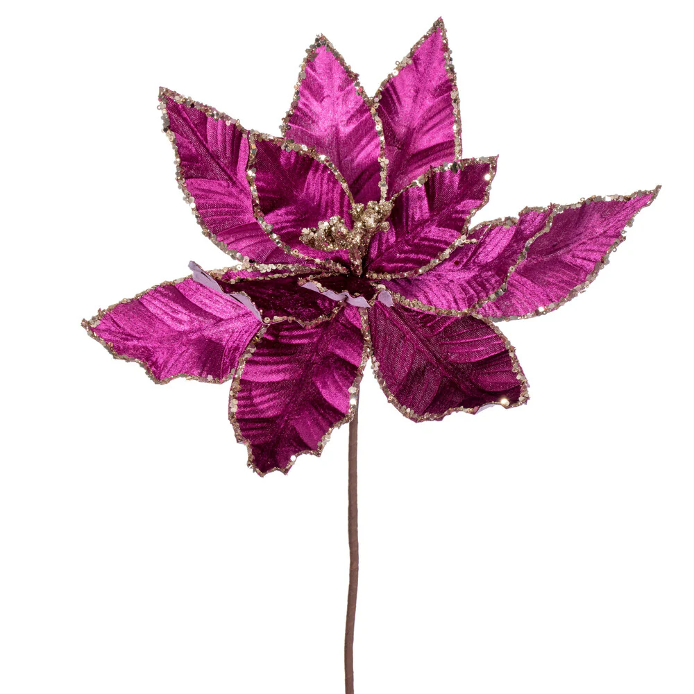 Vickerman 24