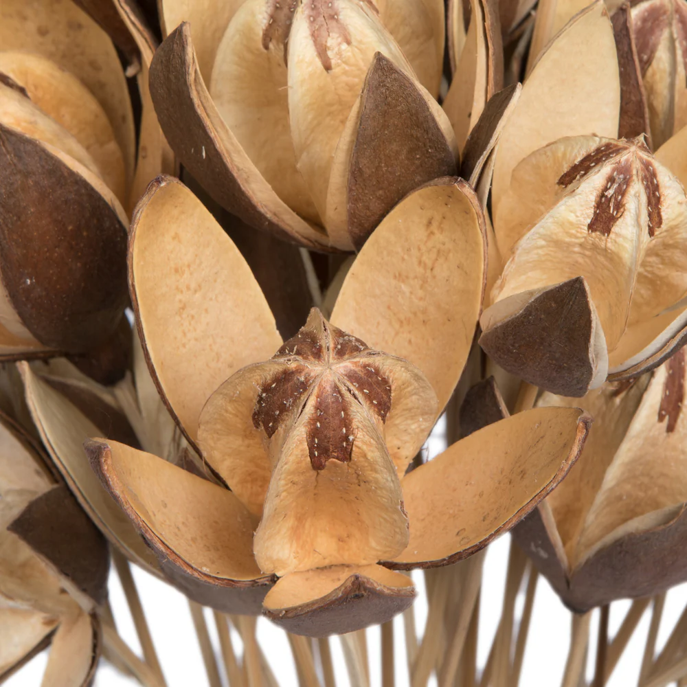 Vickerman Natural Botanicals 20