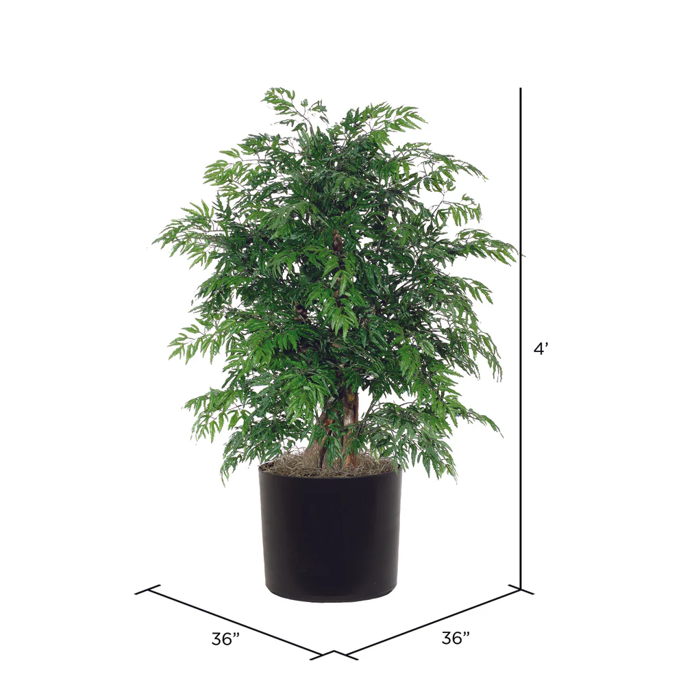 Vickerman 4' Artificial Ming Aralia Extra Full Bush Black Plastic Pot. - Cheap-Us