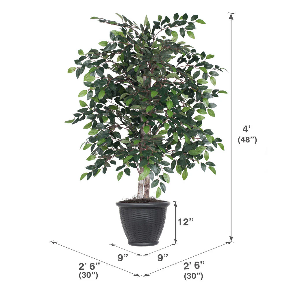 Vickerman 4' Artificial Mini Ficus Bush Gray Round Plastic Container. - Cheap-Us