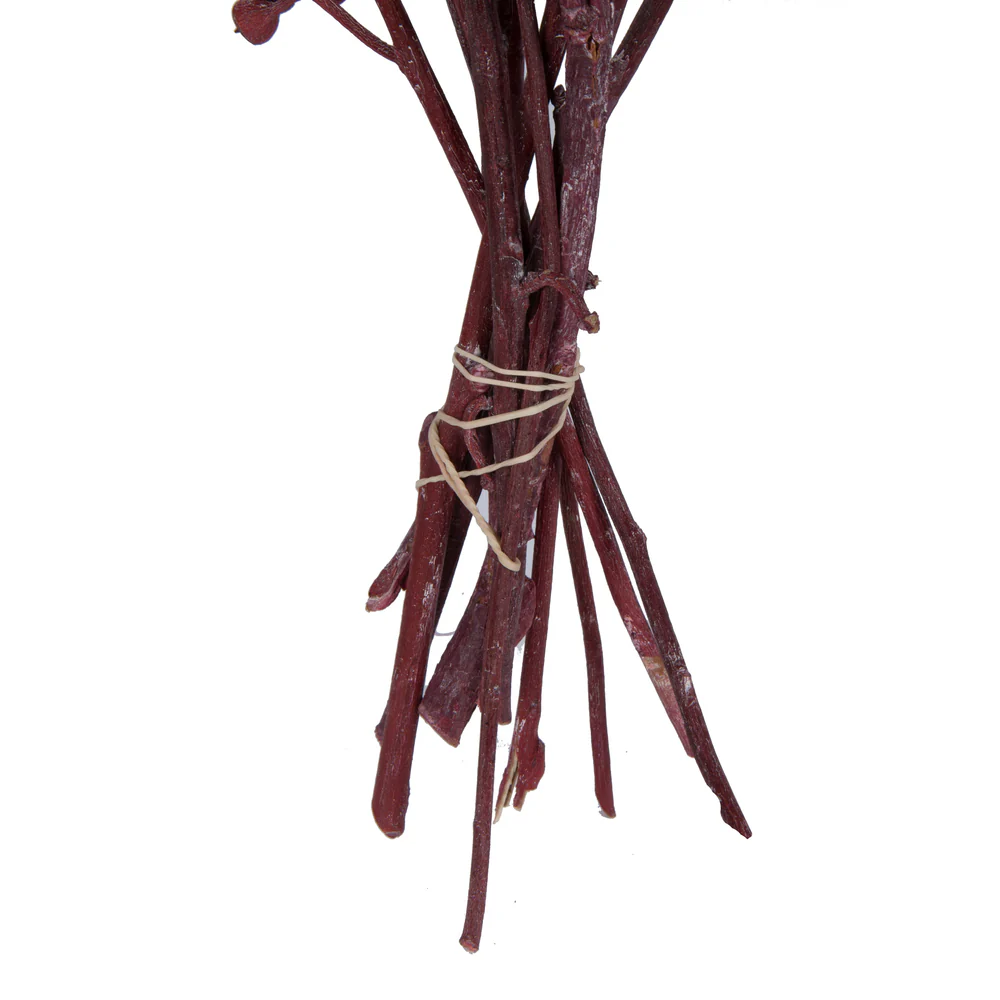 Vickerman Natural Botanicals 13