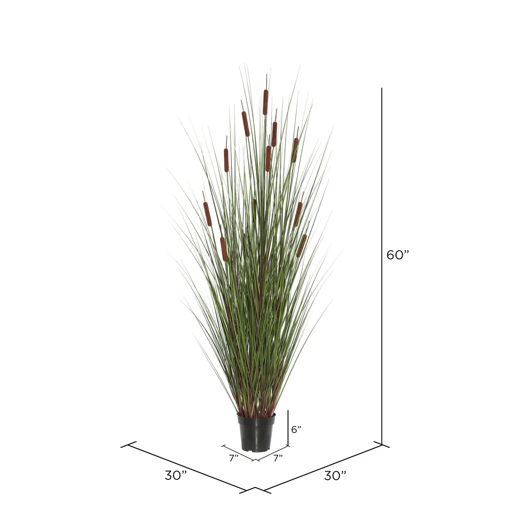 Vickerman 60