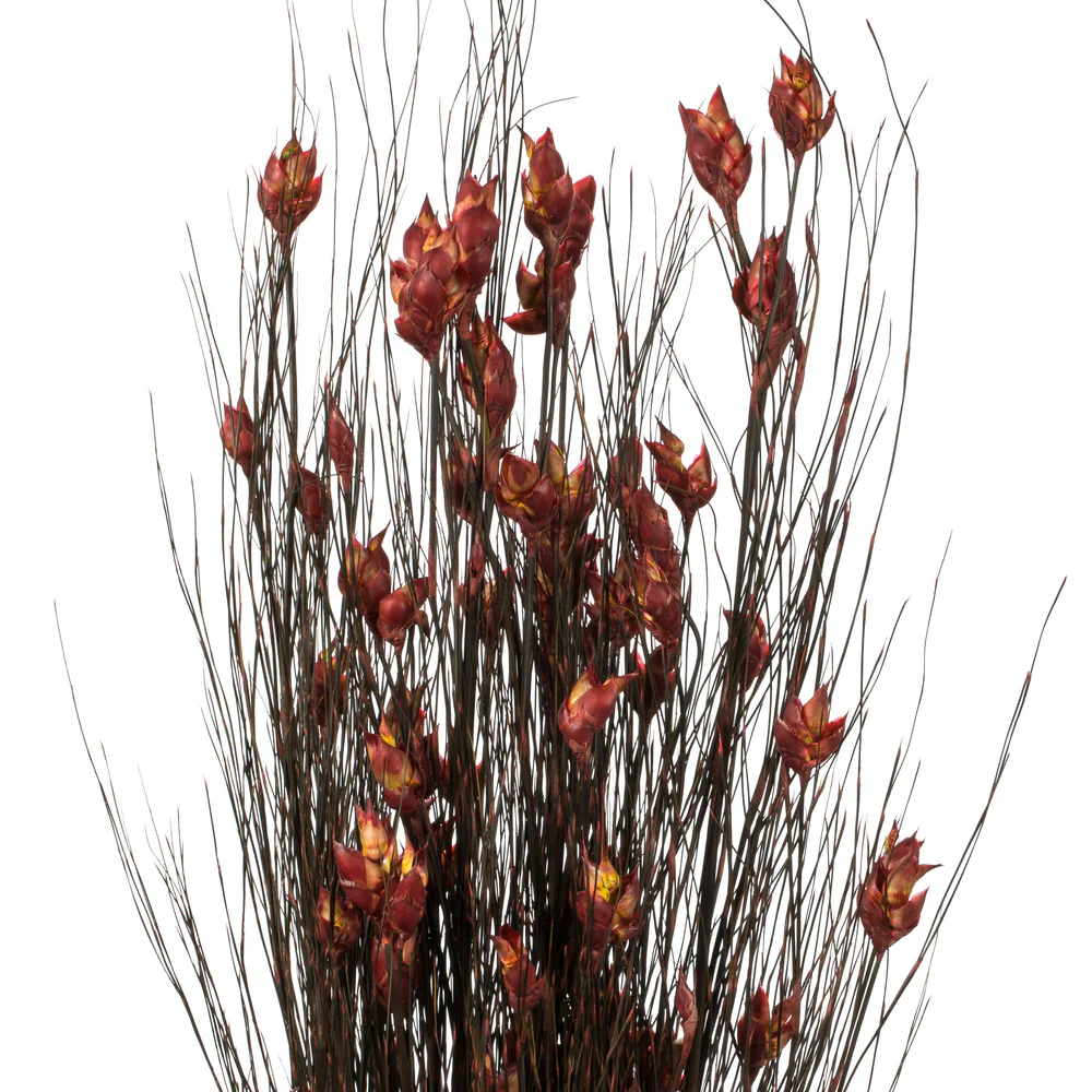 Vickerman 36-40