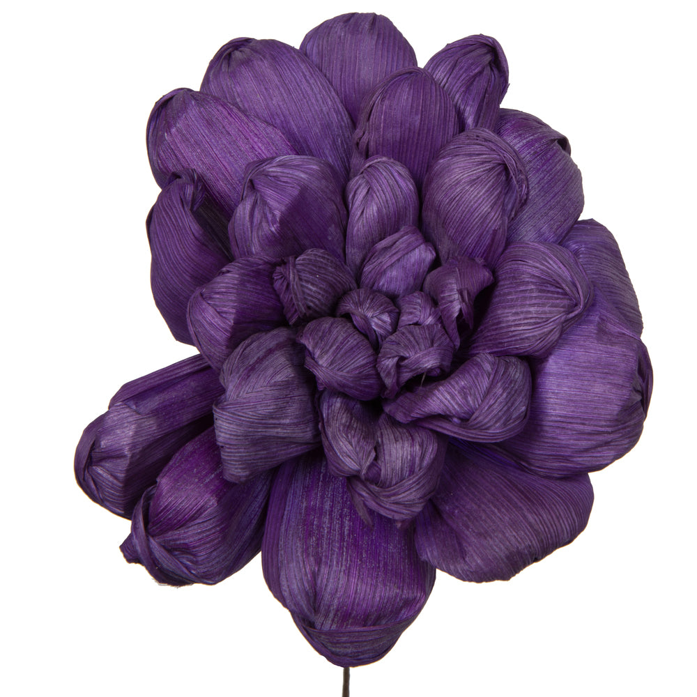 Vickerman Natural Botanicals 6