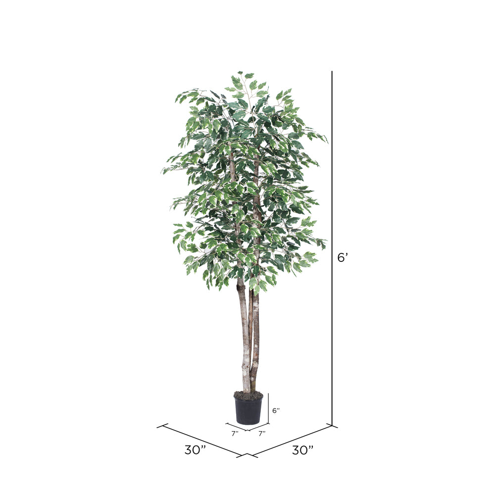 Vickerman 6' Artificial Variegated Deluxe Black Plastic Pot - Cheap-Us