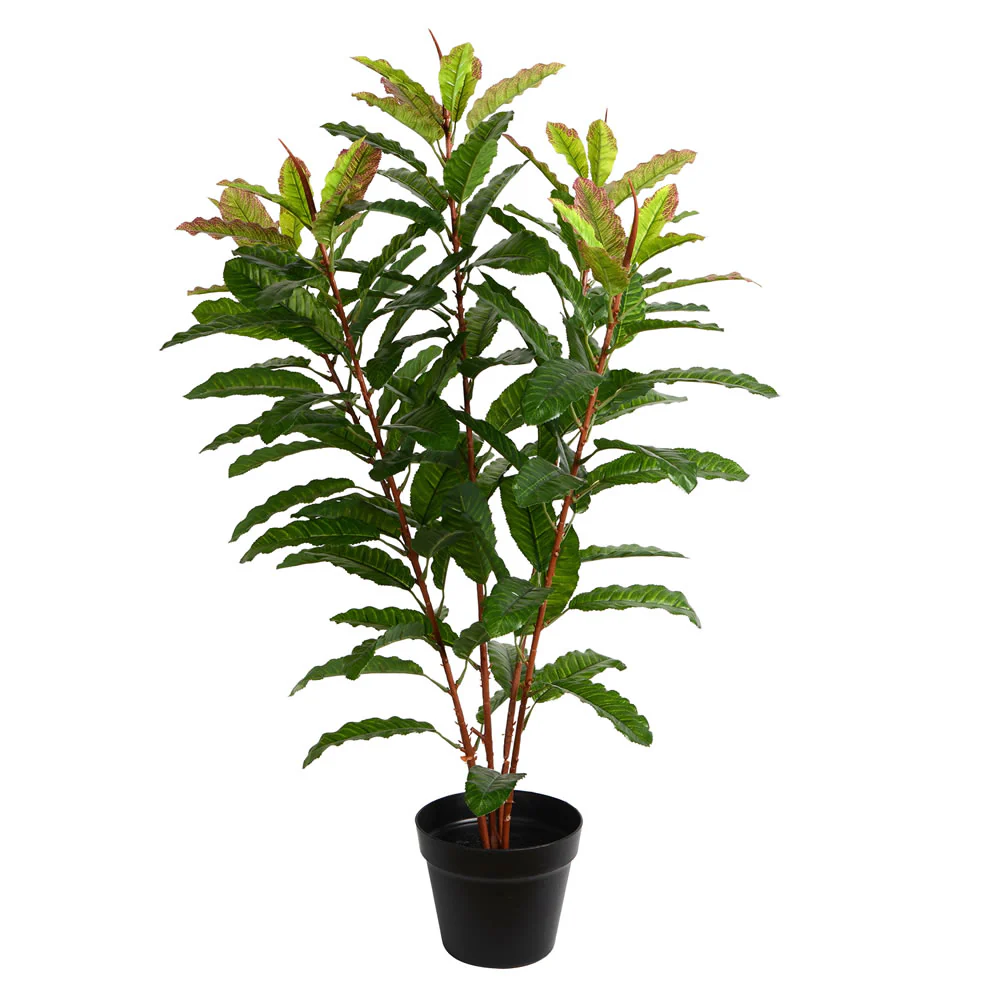Vickerman 34