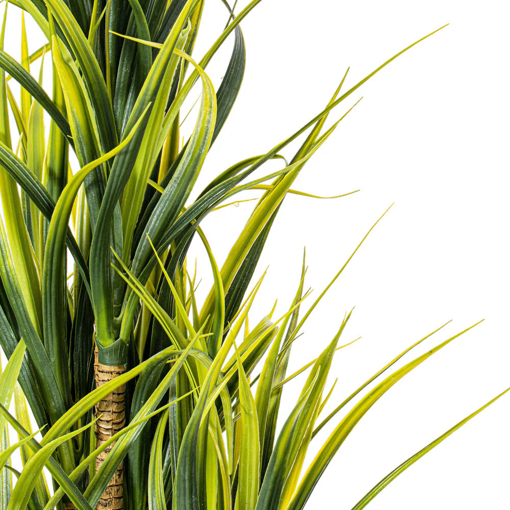 Vickerman 40