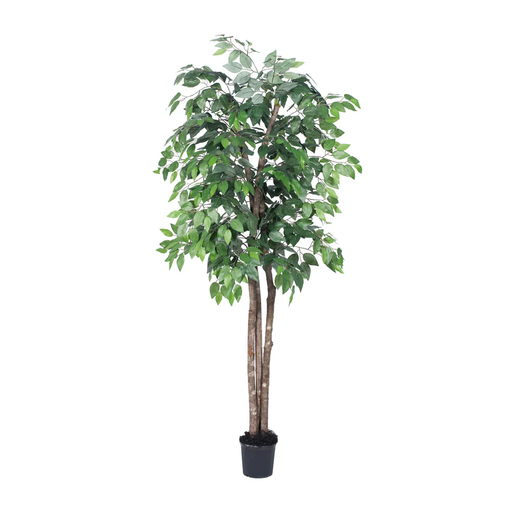 Vickerman 6' Artificial Ficus Deluxe Black Plastic Pot - Cheap-Us