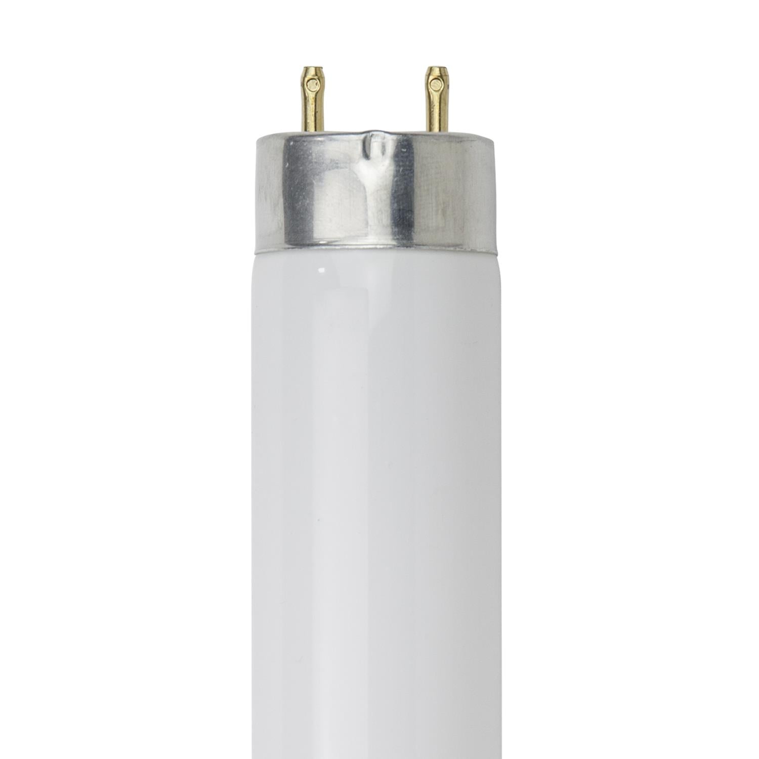 Sunlite 28 Watt T8 High Performance Straight Tube, Medium Bi-Pin Base, Super White - Cheap-Us