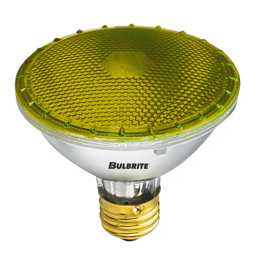 Bulbrite H75PAR30Y 75 Watt Dimmable Colored Light Halogen PAR30, Medium Base, Yellow - Cheap-Us