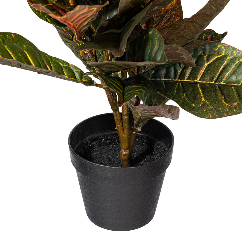 Vickerman 30