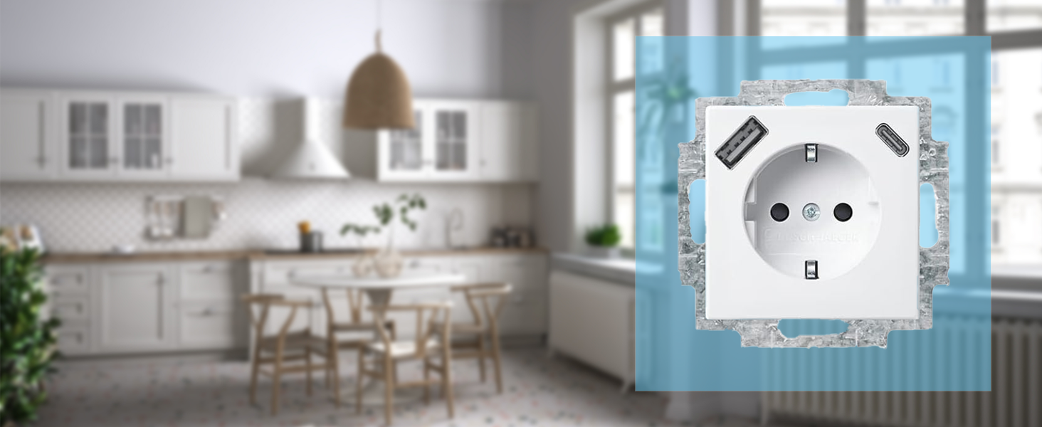 Busch-Jaeger USBC USBA Steckdose