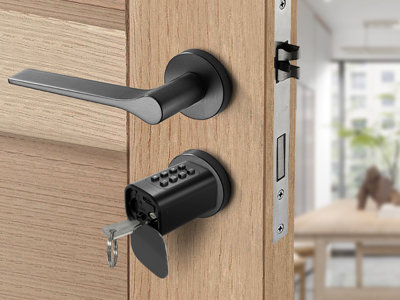 schließzylinder mit fingerabdruck