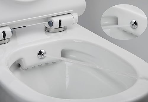 Taharet Dusch WC inkl. Kalt- und Warmwasser Armatur und Soft-Close Sitz - Cheap-Us