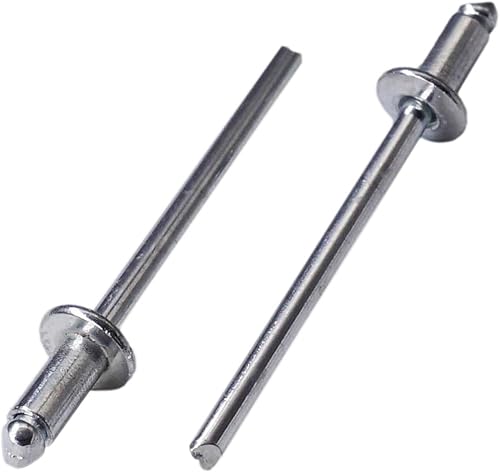 SKIR'CO (200 Stück) Blindnieten aus verzinktem Stahl 3,0 x 10 mm Stahldorn Popnieten Kuppelkopf DIN 7337 Nieten - Cheap-Us