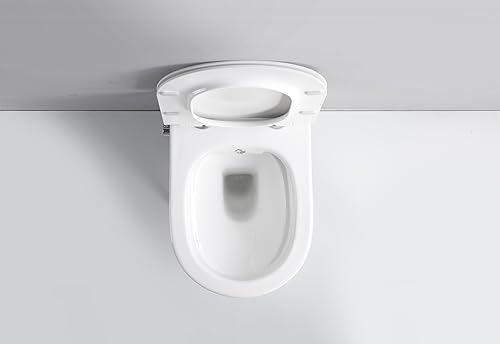 Taharet Dusch WC inkl. Kalt- und Warmwasser Armatur und Soft-Close Sitz - Cheap-Us