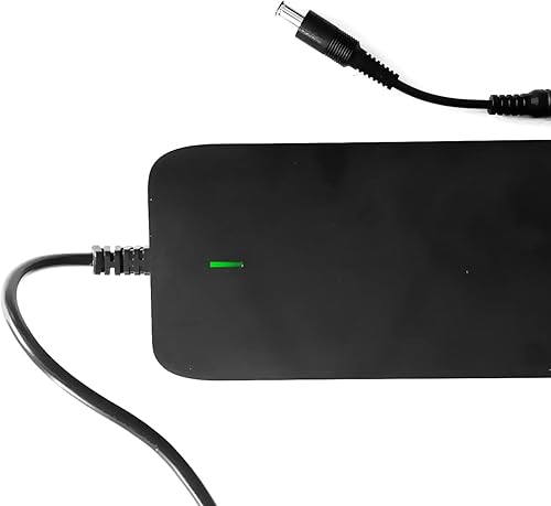 Enerpower Ladegerät 42V für 36V Akku VANMOOF S3 und X3 (4A Ausgang (170 Watt)) - Cheap-Us