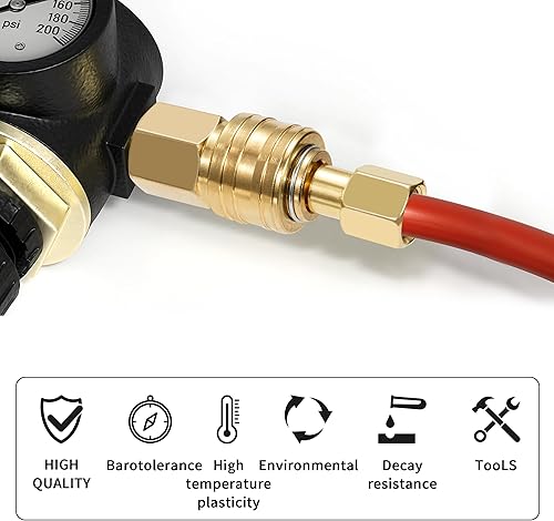 QIMEI-SHOP Druckluftkupplung 1/4'BSP Schnellkupplung Druckluft Kupplungen 1/4 Zoll Schnellanschluss Kupplung für Luftkompressor-Fittings Schläuche Kupplungsstecker 10 Stück - Cheap-Us