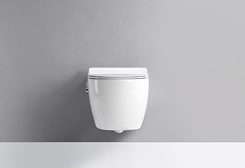 Taharet Dusch WC inkl. Kalt- und Warmwasser Armatur und Soft-Close Sitz - Cheap-Us