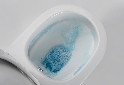 Taharet Dusch WC inkl. Kalt- und Warmwasser Armatur und Soft-Close Sitz - Cheap-Us