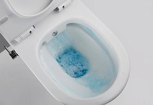 Taharet Dusch WC inkl. Kalt- und Warmwasser Armatur und Soft-Close Sitz - Cheap-Us