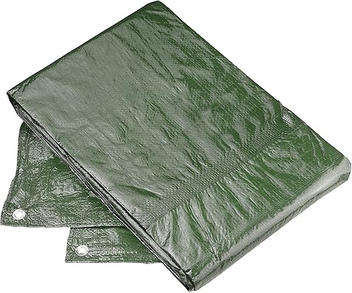 Meister Schutzplane 3 x 4 m - 100 g/m² - Beidseitig beschichtet - Wasserabweisend & UV-stabilisiert - Schimmelresistent - Aus Polyethylen / Gewebeplane / Abdeckplane / Gartenplane / FLOR80405 - Cheap-Us