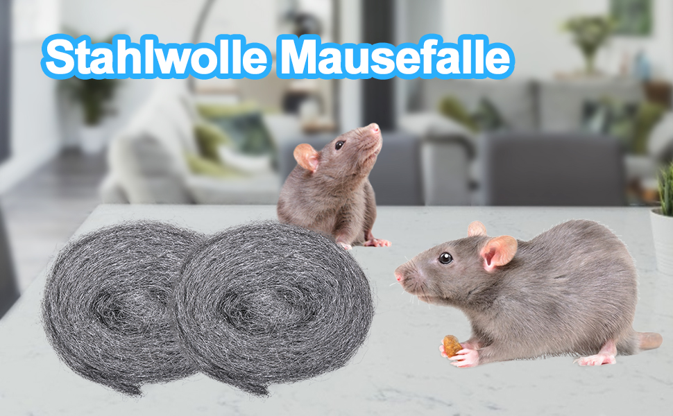 Stahlwolle Mausefalle